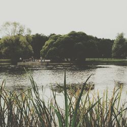 Scenic view of lake against clear sky