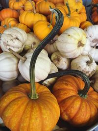 Close-up of pumpkins for sale