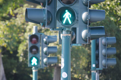 Crosswalk in the street