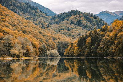 Scenic view of lake by trees in forest against sky