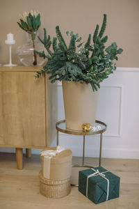 Close-up of potted plant on table against wall at home