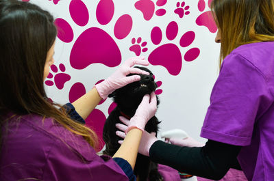 Rear view of veterinarian examining dog in clinic