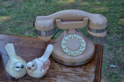 High angle view of animal representation on table