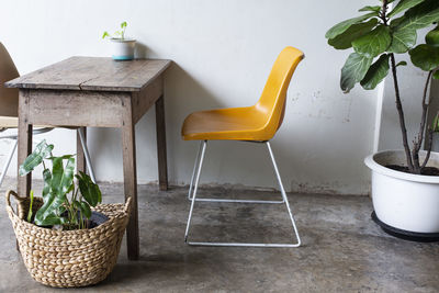 Potted plant on table against wall at home