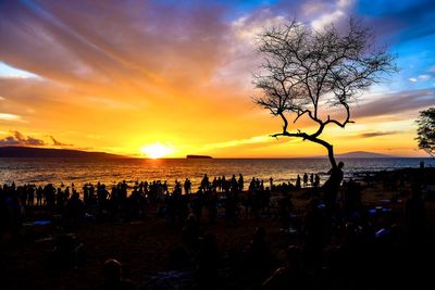 Silhouette tree on beach against sky during sunset