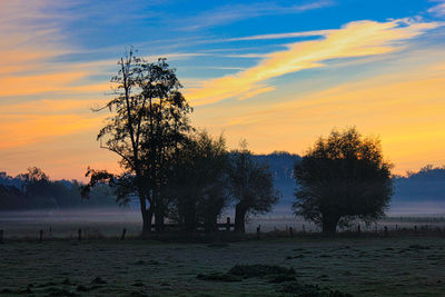Silhouette trees on field against sky during sunset