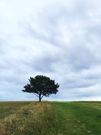 Scenic view of grassy field against cloudy sky