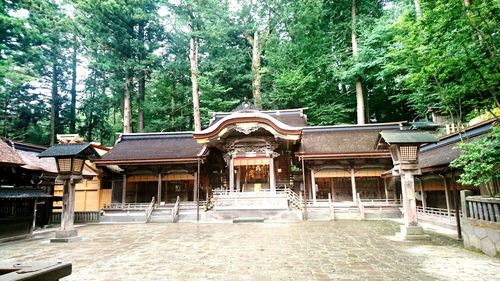 Built structure against trees