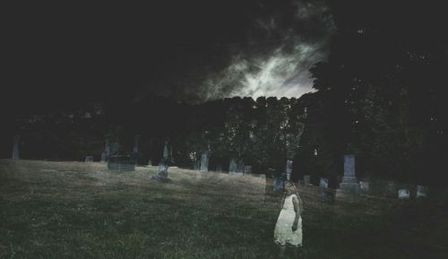 Trees on field at night