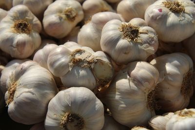 Full frame shot of garlic