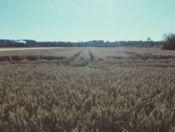 Scenic view of field against sky