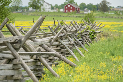 Scenic view of agricultural field