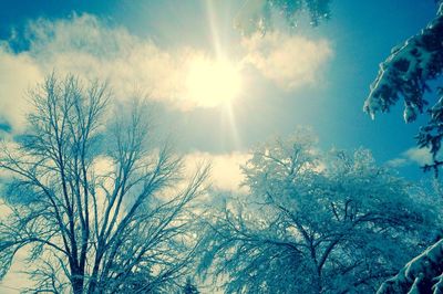 Low angle view of trees against cloudy sky