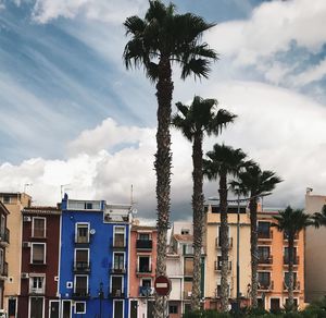 Low angle view of palm trees and buildings against sky