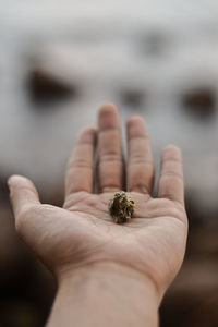 Close-up of hand holding cigarette