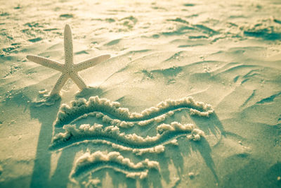 Close-up of starfish on sand at beach