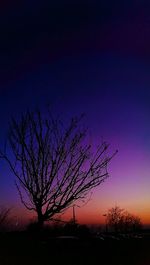 Silhouette of bare trees against sky at sunset