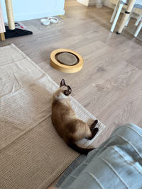 flooring