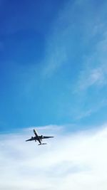 Low angle view of airplane against sky