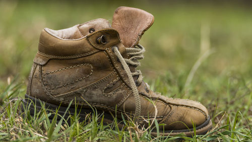 Close-up of grass on grassy field