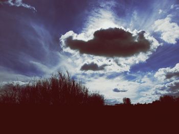 Silhouette of trees against cloudy sky