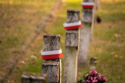 Close-up of wooden post on field