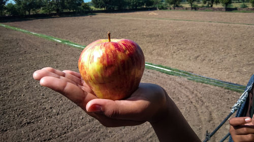 Person holding apple