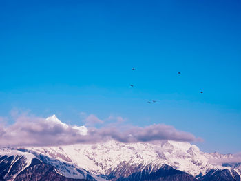 Birds flying over snowcapped mountains against blue sky