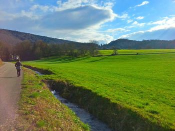 Scenic view of agricultural field against sky