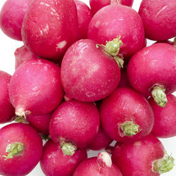 Full frame of radishes