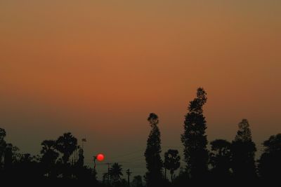 Silhouette of trees against orange sky