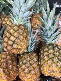 Pineapple fruit