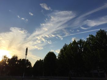 Silhouette of trees at sunset