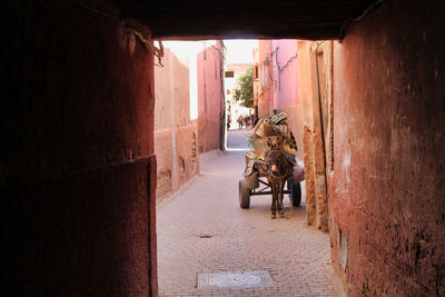 View of a donkey cart in marrakech street 