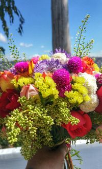 Close-up of flowers blooming against sky