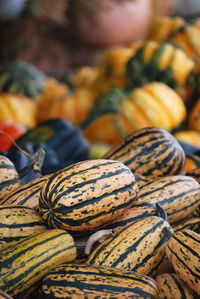 Close-up of pumpkin for sale at market stall
