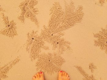 Low section of woman standing on beach