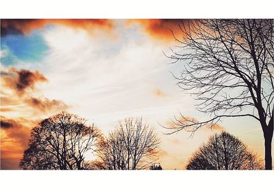 Low angle view of silhouette trees against sky