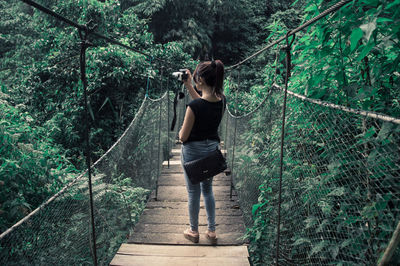 Rear view of woman photographing while standing on footbridge in forest