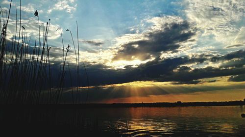 Reflection of clouds in sea at sunset