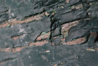 Low angle view of leaves