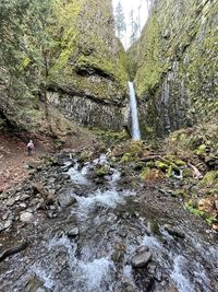 Stream flowing through rocks in forest