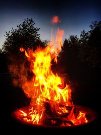 Bonfire on field against trees at night