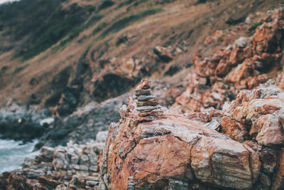 Close-up of rock on land