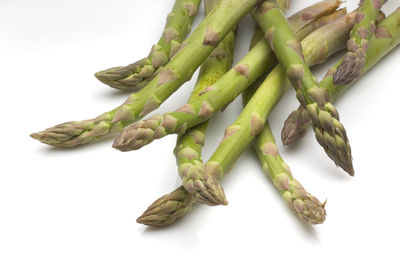 High angle view of asparagus against white background