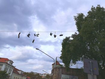 Low angle view of birds flying against sky