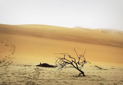 Scenic view of desert against clear sky