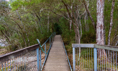 Footbridge amidst trees in forest