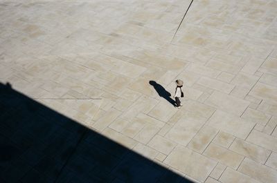 High angle view of bird on shadow