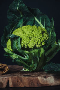 Close-up of vegetables on table against black background